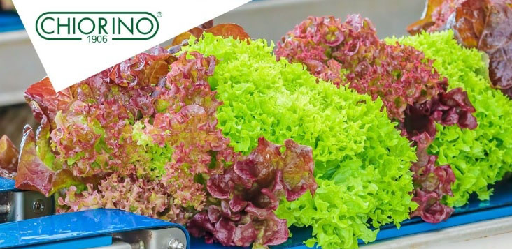 Antimikrobiální pásy – unikátní řešení problému bakterií a plísní